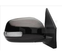 TYC 336-0120 Wing mirror