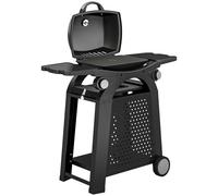 Outsunny 2 Burner Gas Grill with 2 Side Tables, 3.8 KW Barbecue Grill with Cast Iron Grates, 2-in-1 Tabletop BBQ with Wheels