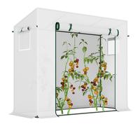 Outsunny 200x76x168cm Walk-in Garden Greenhouse Plant Warm House w/ Roll Up Door