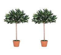 Outsunny 3ft Artificial Laurel Tree Indoor Plant Greenery for Home Office Potted in An Orange Pot Set of 2