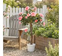 Outsunny 90Cm Artificial Rose Tree, Fake Decorative Plant, Pink