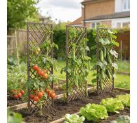 OUTSUNNY Garden Arch, Wicker Trellis Support Frame with Flat Top, Natural Outsunny Natural