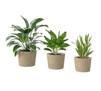 Outsunny Seagrass Plant Pots Flower Planters Bohemian Style Set of 3 Natural - 25 - 20 - Planter