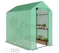 Outsunny Walk-in Greenhouse 2 Tier 4 Shelves for Outdoor 6 x 4 x 6ft Green | Small, Reinforced PE Cover, Plastic Green House For Garden, Plant Growhouse, Roll-up Door