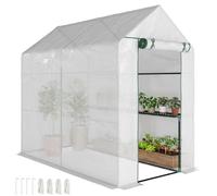 Outsunny Walk-in Greenhouse 2 Tier 4 Shelves for Outdoor 6 x 4 x 6ft White | Small, Reinforced PE Cover, Plastic Green House For Garden, Plant Growhouse, Roll-up Door