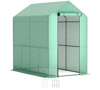 Outsunny Walk-in Greenhouse with 2 Tier 4 Shelves, Small Greenhouse with Reinforced PE Cover, Garden Plant Growhouse with Roll-up Door, 120 x 186 x 190 cm, Green