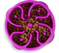 Outward Hound Slow Feeder Dog Bowl - Makes Meal Time Fun, Slows Down Eating, Promotes Healthy Digestion, Prevents Bloat | Slip Resistant and Durable, Food and Water Bowl, Size Medium (Purple)