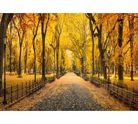 OUYIDA 7x5FT Autumn Forest Backdrop Autumn Park Pathway Yellow Fallen Leaves Trees Fall Scenery Background for Thanksgiving Decor Banner Photo Booth Shoot Studio Props