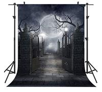 Ouyida Halloween Horror Night 6X9FT CP Pictorial cloth Photography Background Computer-Printed Vinyl Backdrop TP17