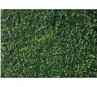 OUYIDA Nature Theme Green Leaves Backdrops Lawn Grass Photography Studio Props Backgrounds Party Decoration Banner Photoshoot Photo Booth Vinyl Backdrop 9X6FT PCK41A