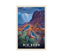 Ouyniei BIG BEND NATIONAL PARK Vintage Travel Poster Canvas Poster Wall Art Decor Print Picture Paintings for Living Room Bedroom Decoration 20x30inch(50x75cm)