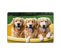Ouyniei Golden Retriever Dogs Puppies Pets Printed Carpet 36 X 24 in & 72 X 48 in Indoor Area Rugs Floor Mats