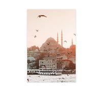Ouyniei Istanbul Turkey Birds Flying Over Water Art Poster Canvas Poster Bedroom Decor Landscape Office Room Decor Gift 20x30inch(50x75cm)