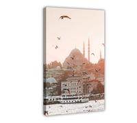 Ouyniei Istanbul Turkey Birds Flying Over Water Art Poster Canvas Poster Wall Art Decor Print Picture Paintings for Living Room Bedroom Decoration 24x36inch(60x90cm)