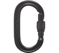 Oval climbing carabiner Black Diamond SCRWGT TU