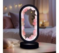 Oval Earth Rose Quartz LED Lamp