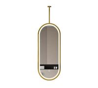 Oval Hanging Mirror With 3 Dimmable Colors, Floating Bathroom Vanity Suitable For Hotel And Apartment Decor(Gold,50x80cm)