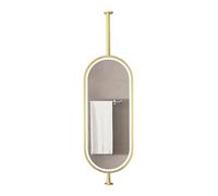 Oval Metal Double-sided Ceiling Mirror With 360-degree Rotating LED Light, Dimmable In 3 Colors, Suitable For Hotel And Apartment Decor(Gold,50x80cm)