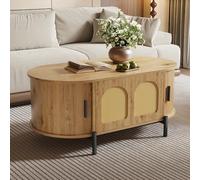 Oval Rattan Coffee Table with Sliding Doors Wood Effect Metal Legs Multifunctal Living Room Table Sto Space 100 x 50 x 40 cm (Natural h)