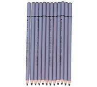 OVAQUIXI 12PCS Drawing Charcoal Pencils, Beech Wood Smooth Writing Tools for Sketching, Detailed Shading for Artists and Beginners