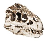 OVAQUIXI Resin Dinosaur Skull Skeleton Props Animal Skull Ornament Hand Painted Lifelike Texture Halloween Decor Craft with Strong Material for Home Hotel Bar Garden Decor
