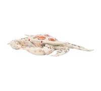 OVAQUIXI Safe Plastic Crab Toy, Educational for Kids, Teaching Marine Cognition, Great for Early Childhood and Bath Time