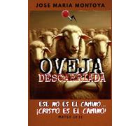 OVEJA DESCARRIADA: ESE NO ES EL CAMINO...¡CRISTO ES EL CAMINO!