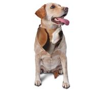 ovely Pet Dog Beagle Dog Bandana Pet Scarf Accessories for Small Medium Dogs Cats Photo Prop, Triangle Pet Bandanas Adjustable Puppy Bib Washable Dog Kerchief Puppy Neckerchief
