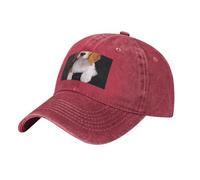 ovely Pet Dog Beagle Patterned athletic Red baseball cap, adjustable, suitable for sports and travel