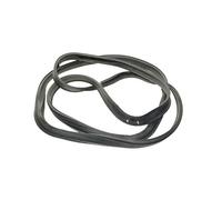 Oven Door Seal for Bosch, Gaggenau, Nef, Siemens, Viva - 00489140