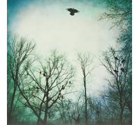 Over The Ocean - Be Given To The Soil [VINYL]