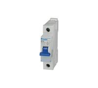 Overcurrent Switch 1P B 10A DLS6I 10KA B 10/1 09916021