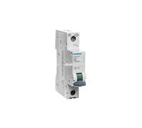 Overcurrent Switch 1P C 32A 6kA AC SENTRON 5SL6132-7