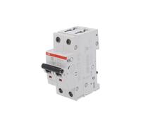 Overcurrent Switch 230/400VAC Iznam: 63A 2CDS252001R0634