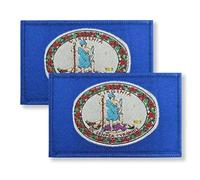 Overdecor State Flag Patch Tactical Patch- Hook and Loop Fastener, 2 Pack (Virginia)