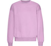Oversized crewneck sweatshirt Colorful Standard Organic Cherry Blossom Violet M