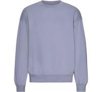 Oversized crewneck sweatshirt Colorful Standard Organic Purple Jade Violet S