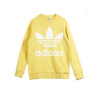 Oversized Crewneck Sweatshirt - female - Adidas - Long Sleeve Training Tops - Beige - S - Sport S