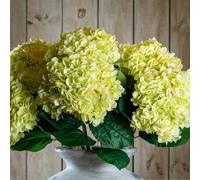 Oversized Green Hydrangea - Realistic Botanical Flower Decor