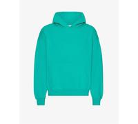 Oversized hooded sweatshirt Colorful Standard Tropical Sea Vert L