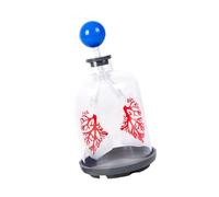 Oversized Human Lung Exchange Model Demonstrating Diaphragm Movement for Respiratory Education in Classroom Use Lung Model