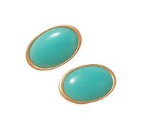 Oversized Oval Resin Earrings For Women Modern Retro Styles Comfortable Comfortable Silver Posts Alloy And Resin Earrings
