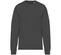 Oversized Sweatshirt Native Spirit Grey XS