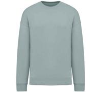 Oversized Sweatshirt Native Spirit Jade XS