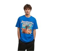 Oversized T-shirt Mister Tee Days Before Summer Bleu M