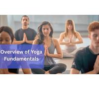 Overview of Yoga Fundamentals