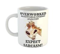 Overworked Renewable Energy Analyst Expect Sarcasm Hand Printed Funny Mug with Angry Horse