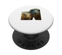 Ovis Aries Ewe and Lamb Rustic Farm Portrait PopSockets Adhesive PopGrip