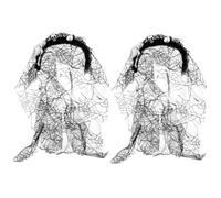OVLIIYWZY 2pcs Headband Costume Hairband Party Band Skull Day of Skeleton for The Spider Carnival Cosplay Masquerade Creep Headdress Dead Hair with Favor Flower Lace Decoration