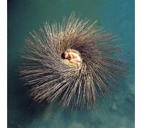 OVO (Peter Gabriel's Millennium Dome Show Soundtrack Album) SEALED CD